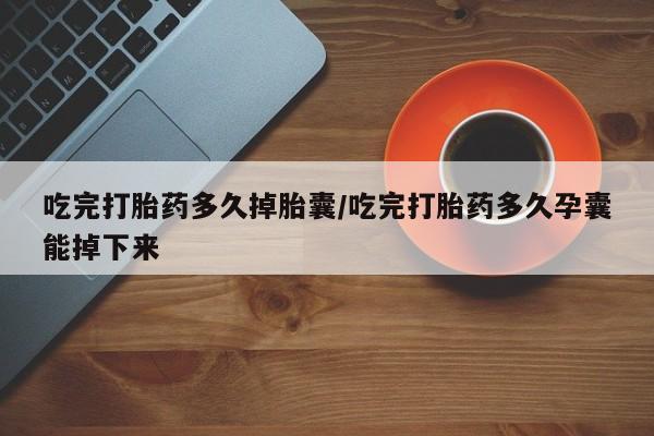 在哪里买流产药包邮吃完打胎药多久掉胎囊/吃完打胎药多久孕囊能掉下来
