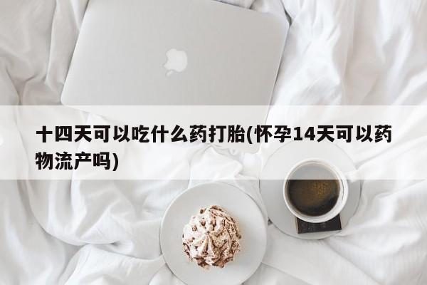 在哪里买流产药包邮十四天可以吃什么药打胎(怀孕14天可以药物流产吗)